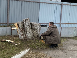 Субботник Субботник.